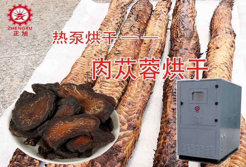正旭肉蓯蓉熱泵烘干工藝（烘干溫度、時間）