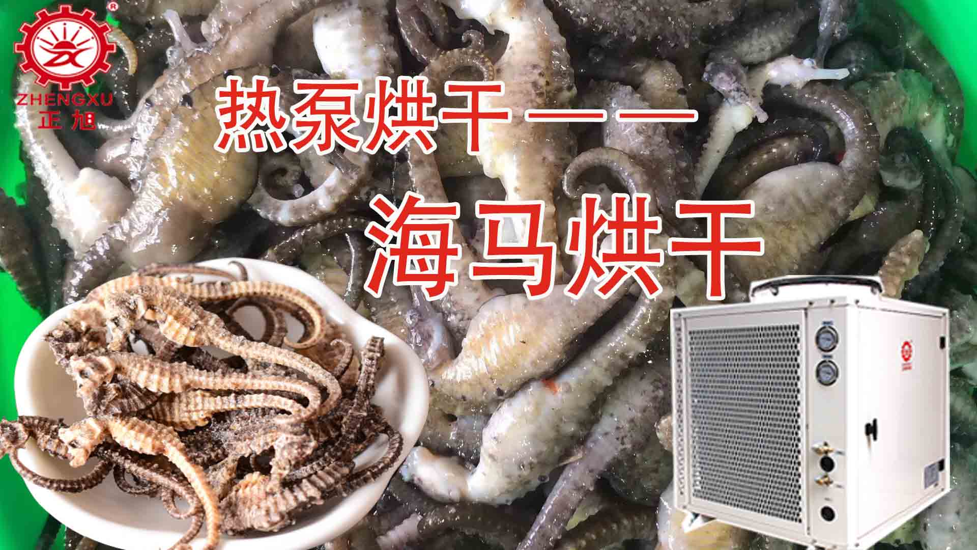 海馬熱泵烘干方法詳解（含研粉、清洗、宰殺、烘干時間）