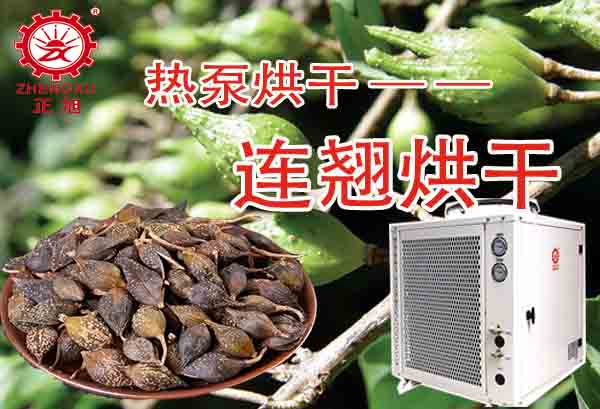 一噸連翹熱泵烘干需要多少錢？「熱泵烘干廠家」為你解答